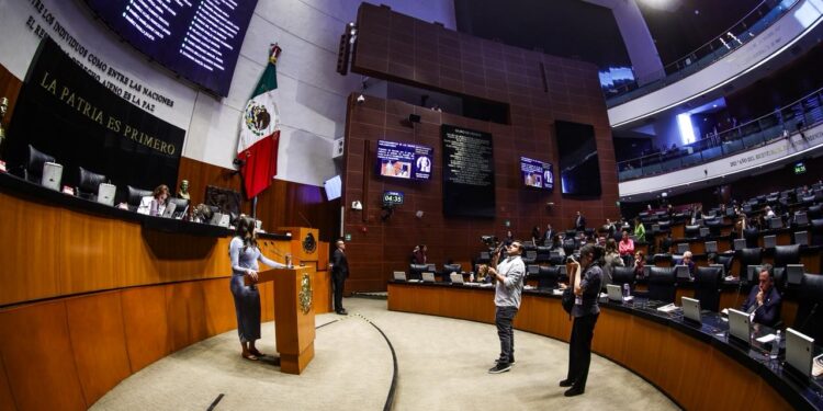 Llama Senadora Paloma Sánchez a votar a favor de reforma de feminicidio para combatir impunidad y violencia contra las mujeres en México