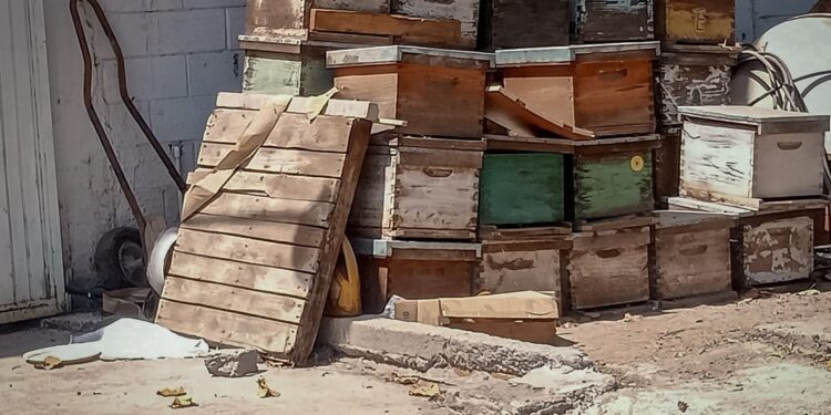 Atiende PC Culiacán emergencia por ataque de abejas en la colonia Pemex