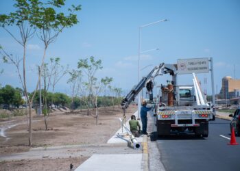 Avanzan trabajos de mejoramiento de áreas verdes en el Eje Federalismo