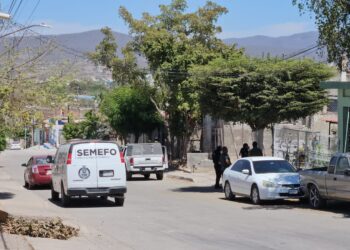 Dejan una cabeza de puerco con mensaje amenazante frente a la casa de la persona señalada en el texto 