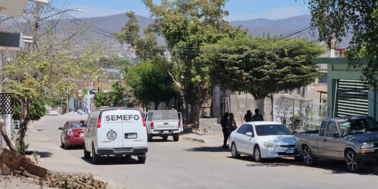 Dejan una cabeza de puerco con mensaje amenazante frente a la casa de la persona señalada en el texto 