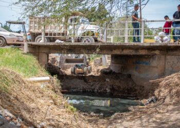 Fortalecen trabajos de limpieza y desazolve de arroyos y pluviales en la ciudad