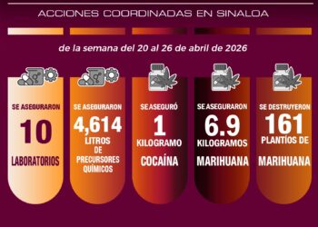 En la última semana, el Grupo Interinstitucional recuperó 57 vehículos y detuvo a 31 personas en Sinaloa