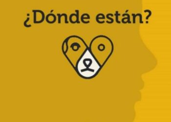 Sabuesos Guerreras denuncia hostigamiento y falta de protocolos durante hallazgo positivo en Culiacán