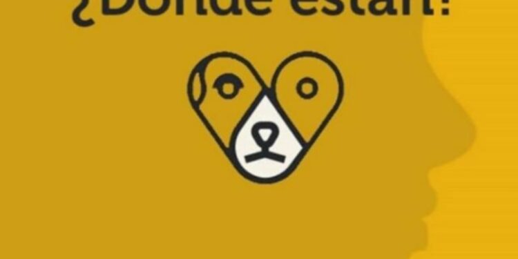 Sabuesos Guerreras denuncia hostigamiento y falta de protocolos durante hallazgo positivo en Culiacán