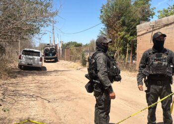 Identifican a los sicarios abatidos durante enfrentamiento con fuerzas federales en Los Ciruelos