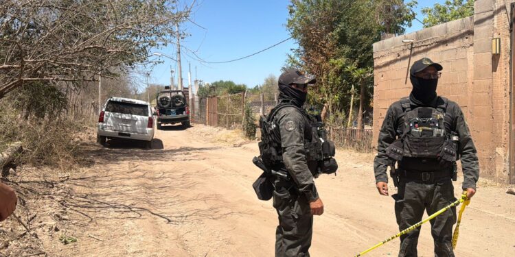 Identifican a los sicarios abatidos durante enfrentamiento con fuerzas federales en Los Ciruelos