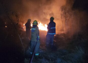 Controlan incendio en zona de monte en Aguaruto antes de que se propagara