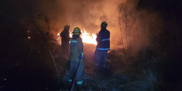 Controlan incendio en zona de monte en Aguaruto antes de que se propagara