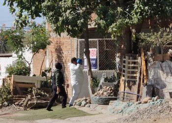 Asesinan a mujer de 61 años en la colonia Estela Ortiz de Toledo