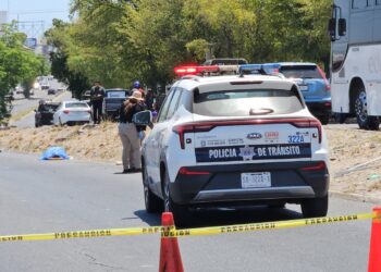 Fallece ingeniero arrollado por vehículo que se dio a la fuga en la colonia El Vallado