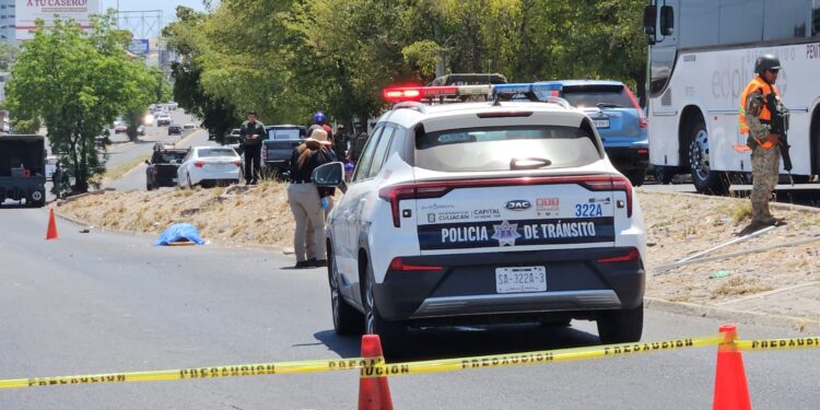 Fallece ingeniero arrollado por vehículo que se dio a la fuga en la colonia El Vallado