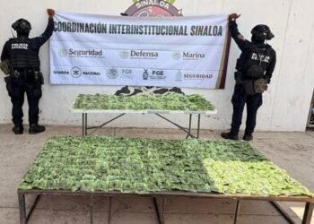 Grupo Interinstitucional asegura en Mazatlán más de 800 dosis de presunta marihuana