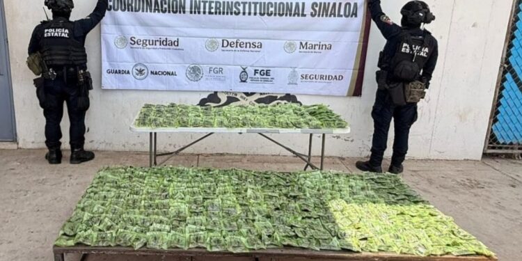 Grupo Interinstitucional asegura en Mazatlán más de 800 dosis de presunta marihuana