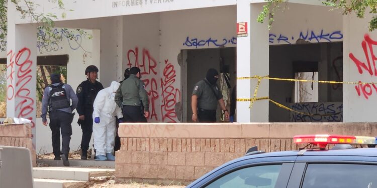 Encuentran dos hombres asesinados y en avanzado estado de descomposición en inmueble abandonado de Culiacán