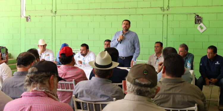 Se está dando seguimiento puntual a todo el proceso y mecánica operativa de la cosecha del maíz, afirma Ismael Bello Esquivel