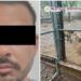 Capturan a uno de los líderes del “Cártel del Noreste” y aseguran 7 tigres