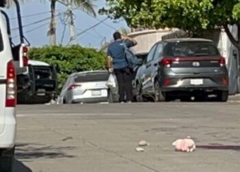 Sin vínculo confirmado entre homicidios con peluches de cerdito: Fiscalía de Sinaloa