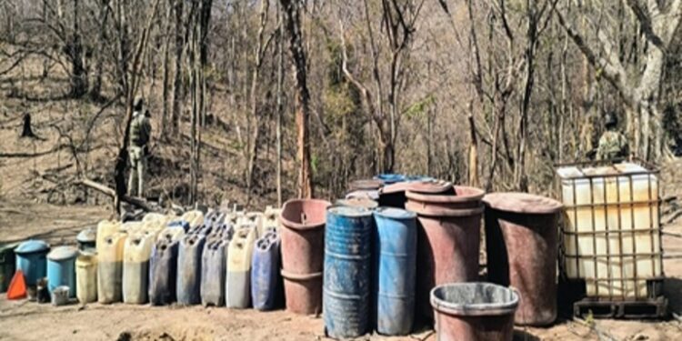 “Ejército Mexicano localizo e inhabilitó 34 Áreas de concentración para la elaboración de droga sintética en los municipios de Culiacán y Mocorito
