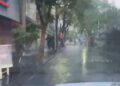 Lluvias traen alivio a Sinaloa; prevén beneficio para presas y zonas forestales