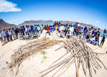 Desde la Bahía de San Ignacio Navachiste Macapule, autoridades, especialistas y ciudadanos unieron esfuerzos para recuperar y proteger la Isla de las Chivas, fortaleciendo las acciones de conservación de un ecosistema clave para la biodiversidad de Sinaloa