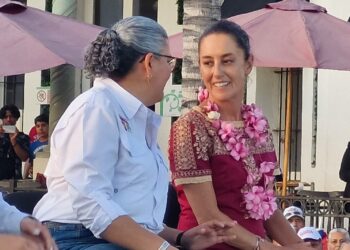 Solicita licencia Graciela Domínguez como diputada federal, la próxima semana se registra para la Coordinación Estatal para la Defensa de la Cuarta Transformación