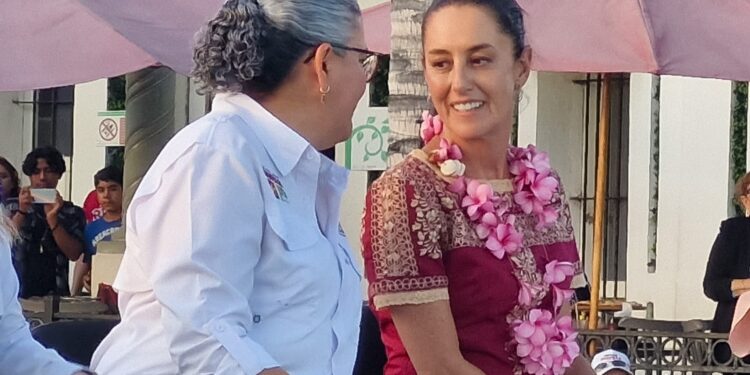 Solicita licencia Graciela Domínguez como diputada federal, la próxima semana se registra para la Coordinación Estatal para la Defensa de la Cuarta Transformación