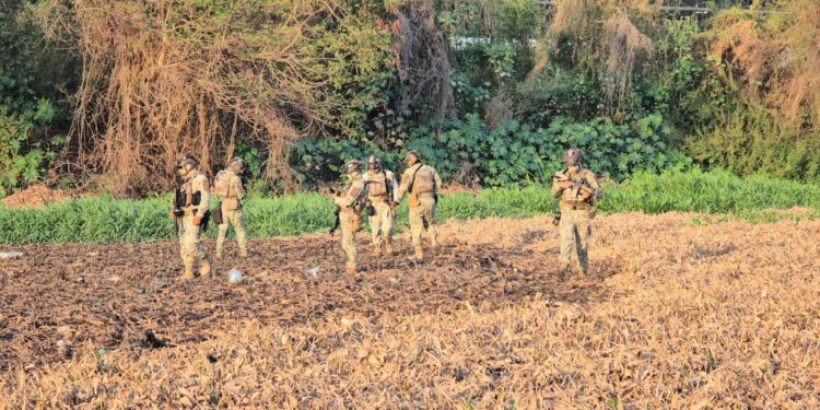 Hallan restos humanos en estado óseo en el cauce del río Culiacán, junto al Puente Negro