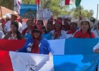 Pescadores de Topolobampo denuncian despidos tras integrarse a trabajos en GPO; conflicto en planta sigue escalando