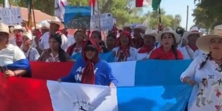 Pescadores de Topolobampo denuncian despidos tras integrarse a trabajos en GPO; conflicto en planta sigue escalando