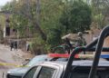 Asesinan a vecino de la colonia 16 de Septiembre en Culiacán durante la madrugada del Día del Padre