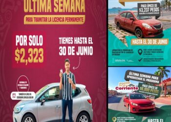 Brigada del Bienestar en Culiacán Sistema DIF Sinaloa