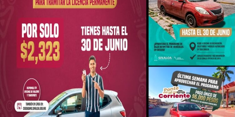 Brigada del Bienestar en Culiacán Sistema DIF Sinaloa