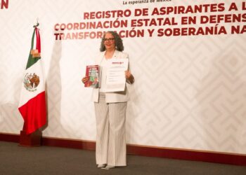 Graciela Domínguez es el perfil de la izquierda para la Coordinación Estatal de Morena