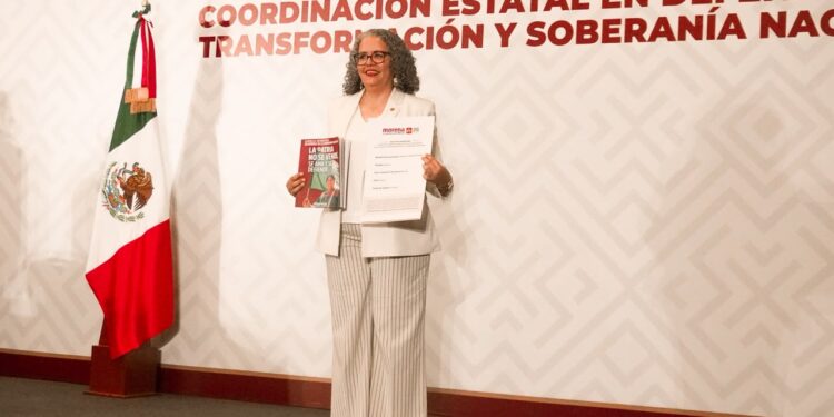 Graciela Domínguez es el perfil de la izquierda para la Coordinación Estatal de Morena