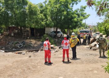 Un hombre sufre descarga eléctrica al podar árboles; resulta con lesiones leves en Culiacán