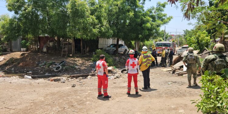 Un hombre sufre descarga eléctrica al podar árboles; resulta con lesiones leves en Culiacán