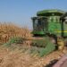 Informa Secretario de Agricultura de Sinaloa Ismael Bello Esquivel apertura de ventanillas para el apoyo a la comercialización de maíz blanco 2025-2026