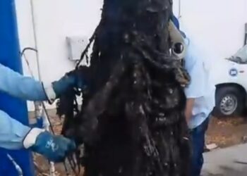 Retiran más de una tonelada de basura de calles y alcantarillas tras lluvias en Culiacán