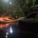 Huracán Genevieve deja árboles caídos, fuertes vientos y lluvias en Culiacán