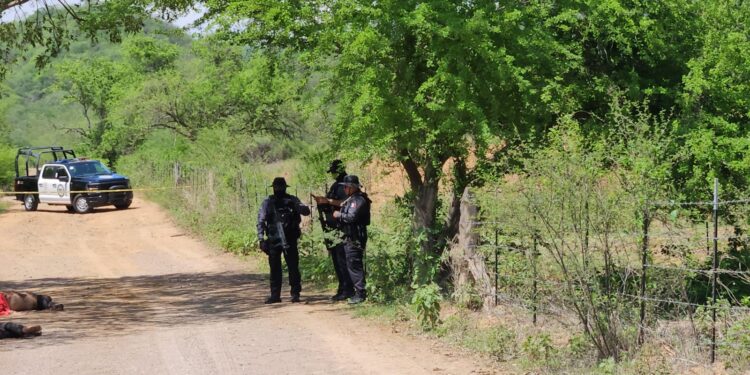 Localizan con vida a hombre privado de la libertad entre Los Naranjos y Ayuné, en Culiacán