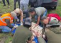 Tigre muere en rescate y AZCARM acusa improvisación en PROFEPA