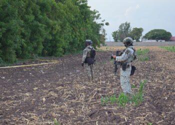 Hallan cuerpo envuelto en una cobija cerca del campo Aníbal, en Navolato