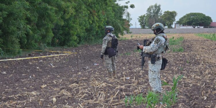 Hallan cuerpo envuelto en una cobija cerca del campo Aníbal, en Navolato