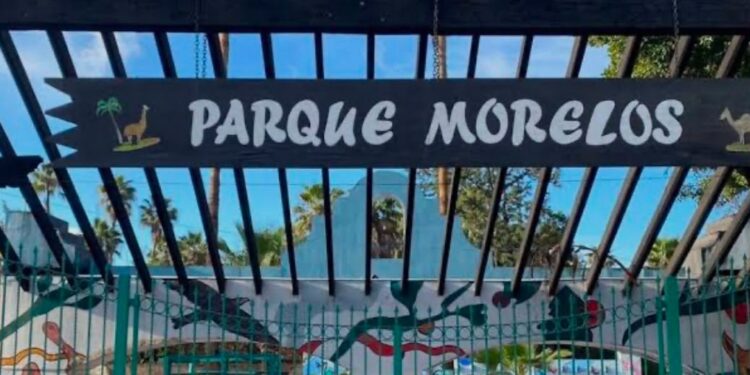 AZCARM pide que el cierre del zoológico del Parque Morelos se realice con estricto apego a la ley y ofrece apoyo técnico para garantizar el bienestar de los mas de 200 animales que serán reubicados
