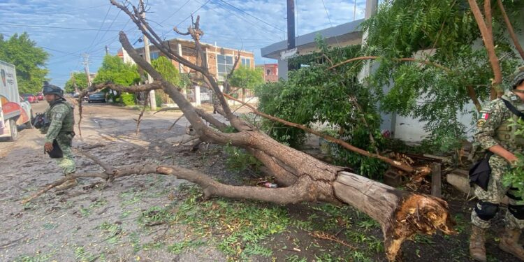 Atiende Ayuntamiento de Culiacán afectaciones por lluvias y fuertes vientos con operativo permanente