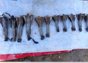 Grupo Interinstitucional destruye 11 artefactos explosivos en Mazatlán