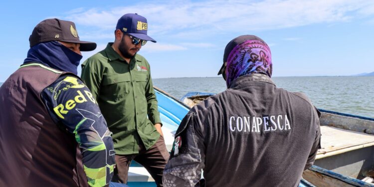 Gobierno de Sinaloa fortalece la protección de los recursos pesqueros con el Programa de Inspección y Vigilancia