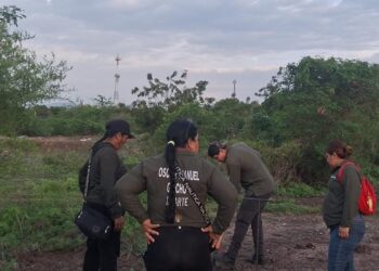 Localiza colectivo de búsqueda una osamenta en predio junto al dren Bacurimí, al norte de Culiacán