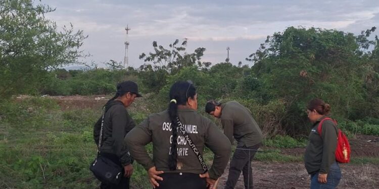 Localiza colectivo de búsqueda una osamenta en predio junto al dren Bacurimí, al norte de Culiacán